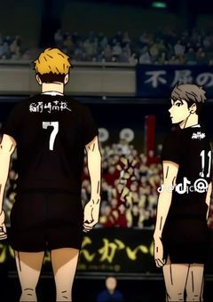 稲荷崎の3バカ実は義理の妹がいます