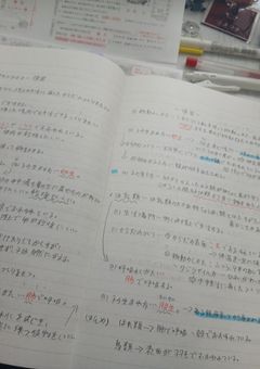 .⋆𝜗𝜚Dream. Study. Repeat.勉強記録✍🏻📖  ̖́-