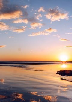 怪獣8号の世界からハイキューの世界に転生してました！