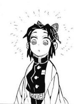 鬼滅大好き女子高生、鬼滅の世界に転生したようで　【更新停止中】