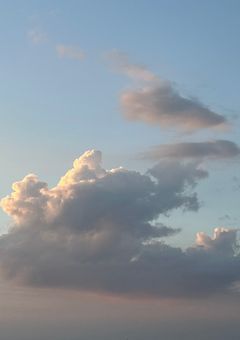 かつどーほーこく等