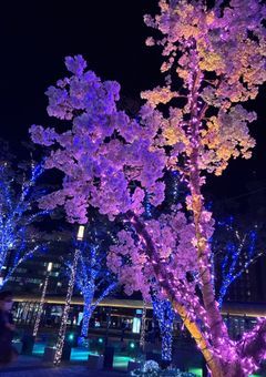 かんけーしゃぼしゅーちゅー