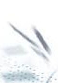 美しいアルビノの少女と9人の少年