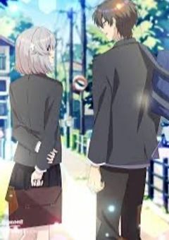 カモミールの花言葉を知っていますか？