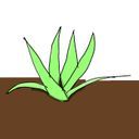 _瀬名生花@せなせいか_ 