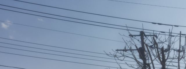 だう！さんの壁紙画像