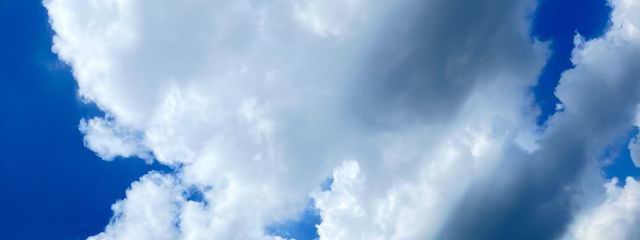 みじんさんの壁紙画像