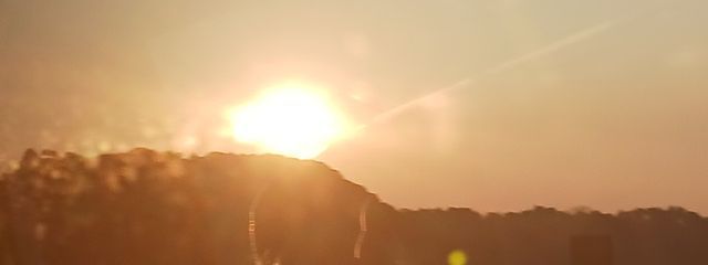 家康さんの壁紙画像