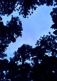 実は○○さん達は有名な財閥の方でした？！