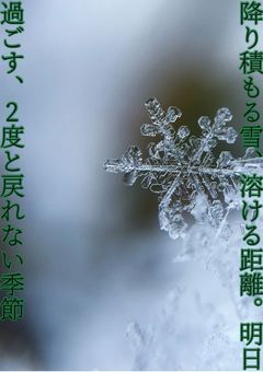 降り積もる雪、溶ける距離。明日過ごす、2度と戻れない季節💚