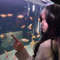 opさんのアイコン画像