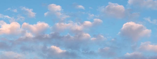 Lanさんの壁紙画像