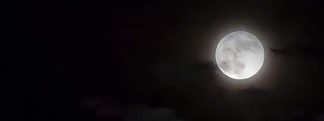 👑Blooming Queen👑さんの壁紙画像