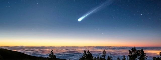 うぃさんの壁紙画像