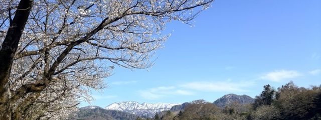 ももたろう　さんの壁紙画像