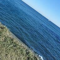 龍乃さんのアイコン画像