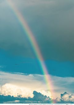 幻想郷最強、錬金術師になりました(?)