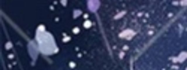 shioriさんの壁紙画像