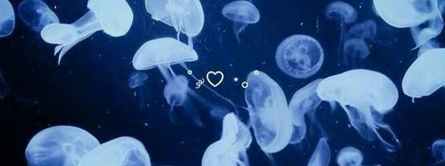 　　白玉ﾁｬﾝさんの壁紙画像