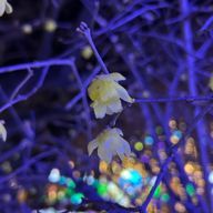 ななさんのアイコン画像