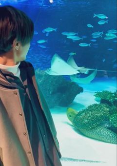 King & Princeの廉と、運命の恋。～アイドルとシンデレラの物語～