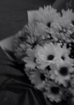 まさか夢が叶うなんて