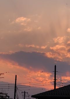 （現実にあった戦争ごっこを小説化したやつ）