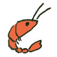 えびまよくんさんのアイコン画像