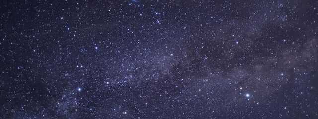 ﾊﾟｧさんさんの壁紙画像