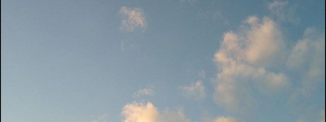 おもちさんの壁紙画像