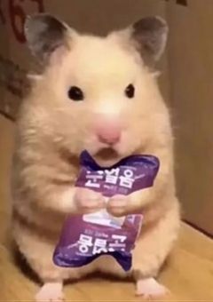 家に沢山の推しが来た件