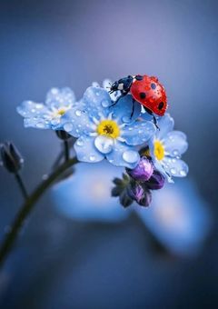 嫌われたので記憶喪失のフリをします