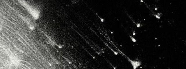 塩素さんの壁紙画像