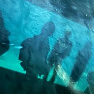 Sora_❤︎𓂃🥀𓈒𓏸無期限の活動休止中さんのアイコン画像