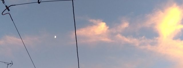 きのこさんの壁紙画像