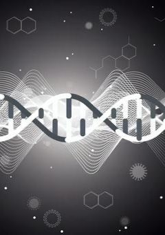 喧嘩じゃ喧嘩、ぶちのめしてやる！