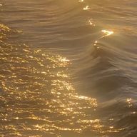 📔🎗️さんのアイコン画像