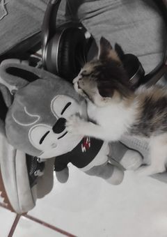 StrayKids 短編集 ෆ‪