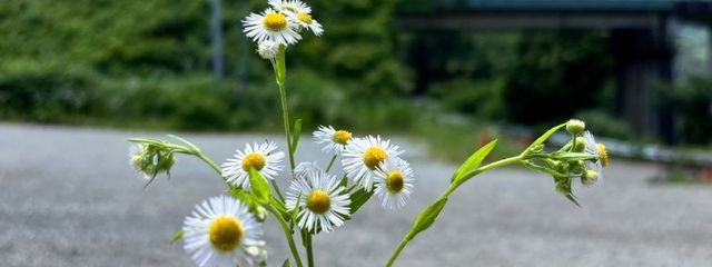                 珠瀬 ．さんの壁紙画像