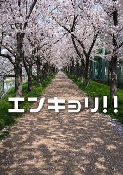 エンキョリ‼︎【HQ参加型】