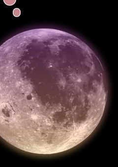 お気に入りの曲