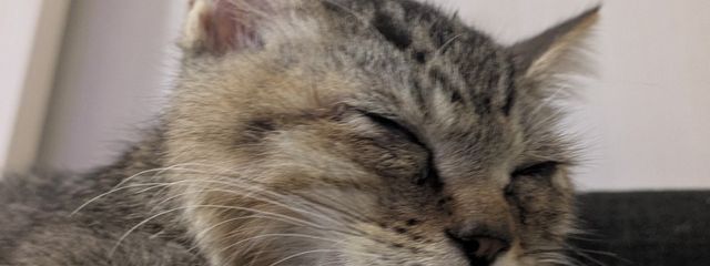 音瑠 麗華@nkbr少なすぎて病むwさんの壁紙画像