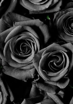 【W.短編集】 Do you ♡ me ？