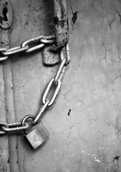 彼等の"♡"要員になりまして。