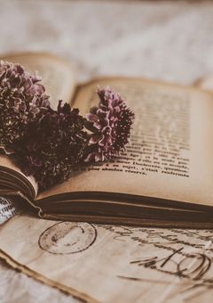 【W.】rainbow__短編集