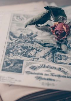 【W.】七色の裏側寄せ集め集