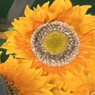 슈키さんのアイコン画像