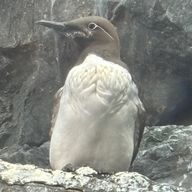 みーさんのアイコン画像