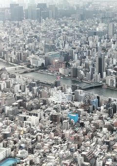 私、今日から推しと同居します。