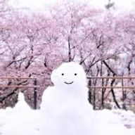 mikoさんのアイコン画像